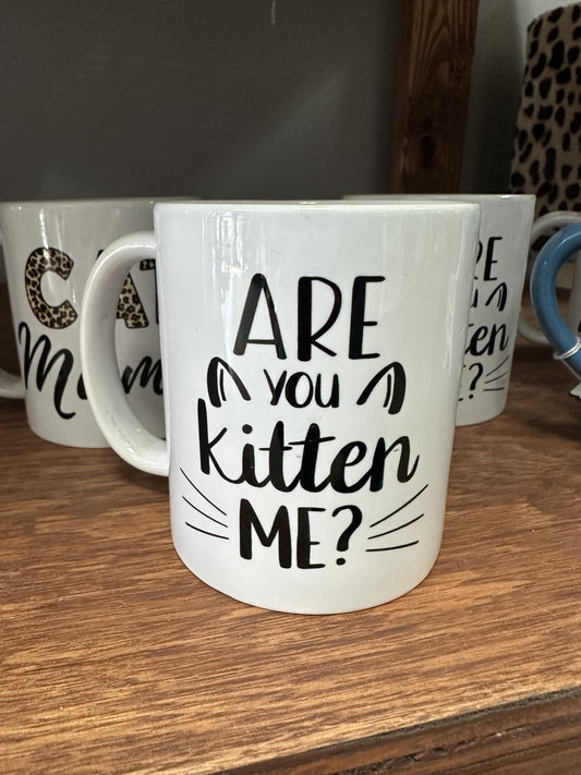 Are You Kitten Me? Mug, 11oz